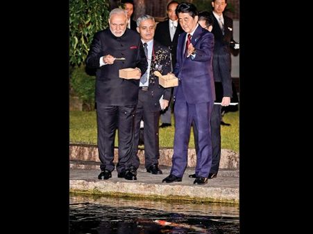 માછલીઓને પરંપરાગત ફીડીંગ