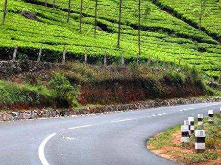 કોડાઇકેનાલ-મુન્નર રોડ