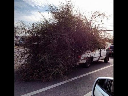 Crazy and viral photography