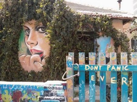 Crazy and viral photography