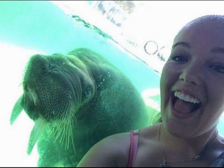 Crazy and viral photography