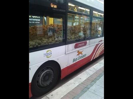 Crazy and viral photography