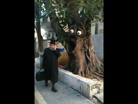 Crazy and viral photography