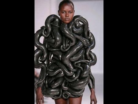 Crazy and viral photography