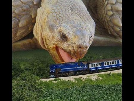 Crazy and viral photography