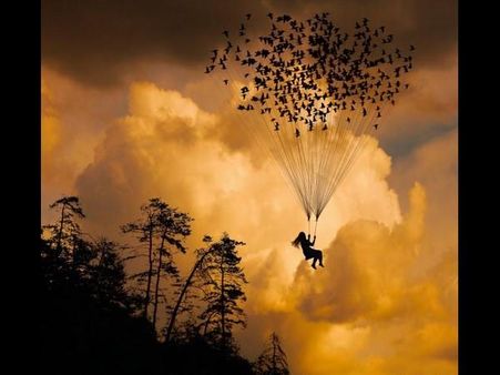 Crazy and viral photography