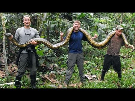 Crazy and viral photography