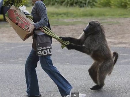 એક તસવીરી ઝલક