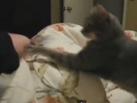 એક તસવીરી ઝલક