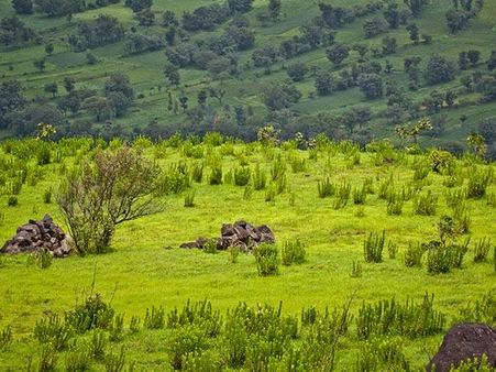 મહાબળેશ્વર
