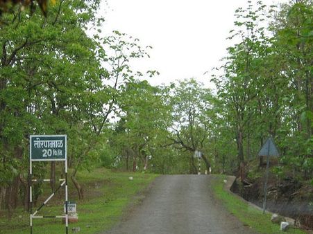 તોરણમાલ