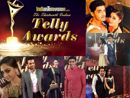 Telly Awards 2014 : રેડ કારપેટ પર છવાયાં સનાયા, ગુરમીત, કરણવીર....