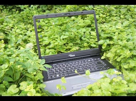 પારદર્શક સ્ક્રીન ફોટોગ્રાફી