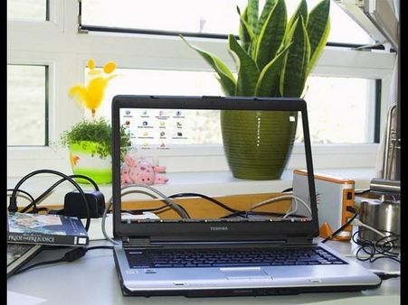 પારદર્શક સ્ક્રીન ફોટોગ્રાફી