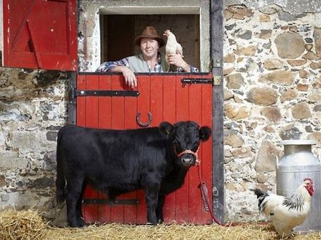 આ ભેંસ છે કે બકરી