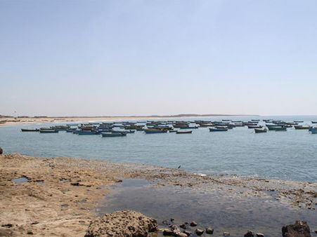 પિકનીક માટે છે ઉત્તમ