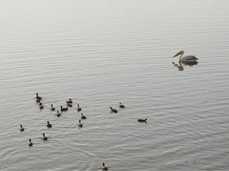 કેવી રીતે જામનગર આવશો