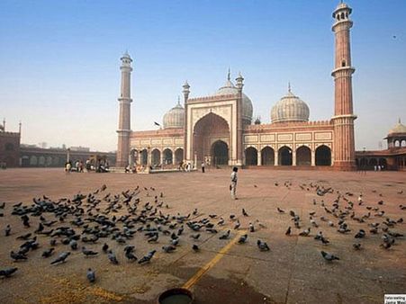 પક્ષીઓનું ટોળુ