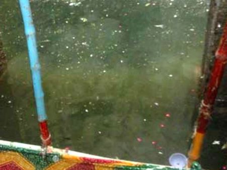 સૂકી વાવમાં 40 ફૂટ પાણી આવ્યું