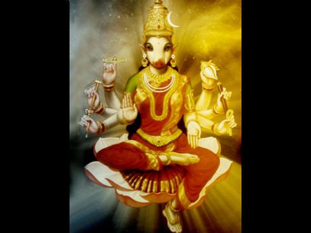 દર્શનનો સમય નક્કી કરવો પડ્યો