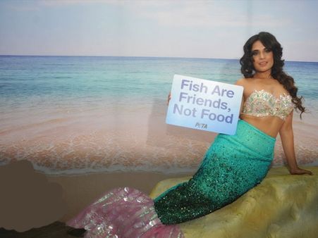 રીચા ચડ્ઢા