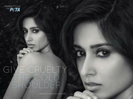 પેટા માટે Backless થઈ બર્ફી ગર્લ ઇલિયાના : અગાઉ કોણે-કોણે કર્યો આવો સાહસ!