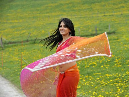 અનુષ્કા શેટ્ટીની તસવીરી ઝલક