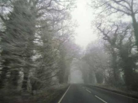 કેલી રોડ