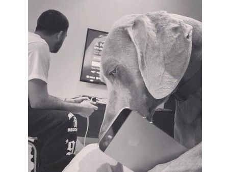 અમેઝિંગ સેલ્ફીઝ અમેઝિંગ સેલ્ફીઝ