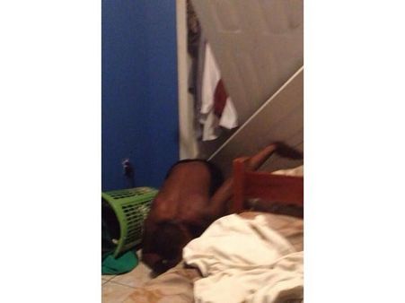 અમેઝિંગ સેલ્ફીઝ અમેઝિંગ સેલ્ફીઝ