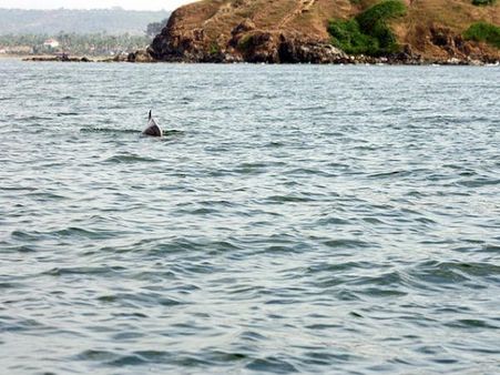 બાગા બીચ