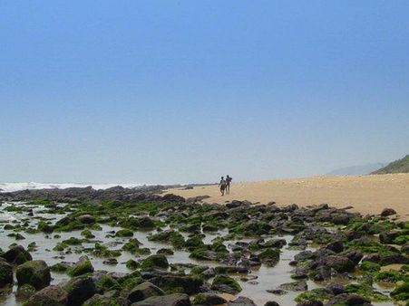 ઋષિકોંડા બીચ