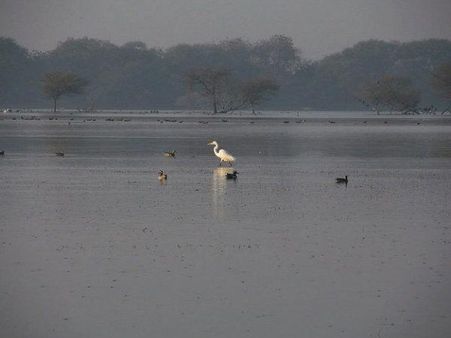 થોર તળાવ