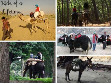 ભારતીય પ્રવાસનના અભિન્ન અંગ, પ્રવાસ દરમિયાન ચોક્કસ ઊઠાવો લાભ