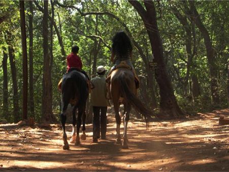 મહારાષ્ટ્રના માથેરાનમાં ઘોડાની સવારી