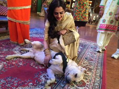 ઝંજીરને પણ વહાલ