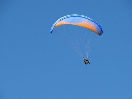 સ્ટોક કાંગડી