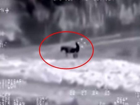 Video: ગધેડી સાથે સેક્સ કરતો પકડાયો ISISનો આતંકી