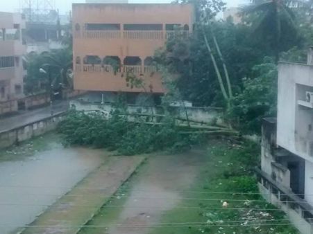 વૃક્ષો થયા ધરાશાયી