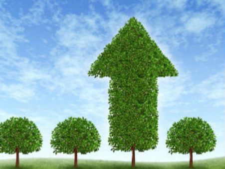 કંસાઇ નેરોલેક