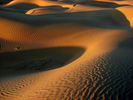 સોનેરી રેત 