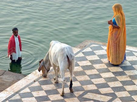 એક આધ્યાત્મિક સવાર 