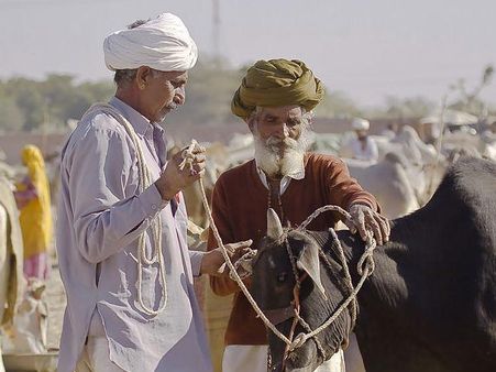 પશુ મેળો 