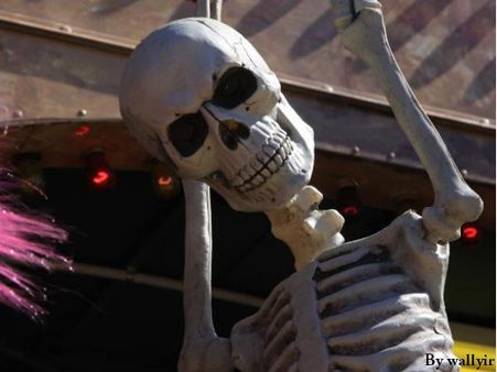 હાય! હાઉ આર યૂ