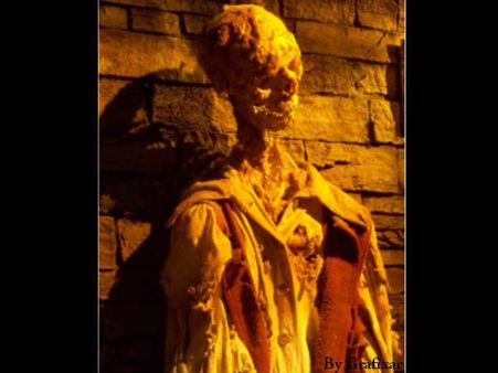 શાલીન હાડપિંજર