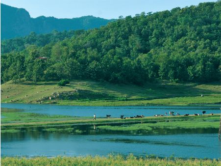 ગુજરાતના પોળોના જંગલોમાં એક વાર કેમ પ્રવાસ કરવો જોઇએ