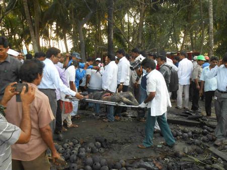 ફટાકડાની ફેક્ટરીમાં લાગી આગ, 12 લોકોના મોત