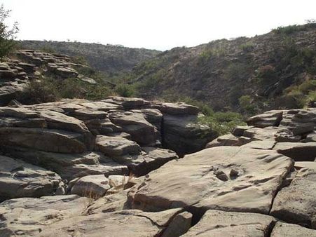 બ્લેક હિલ્સ (કાળો ડુંગર)