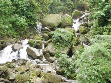 જ્યોલિકોટ