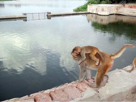 ગોવિંદ કુંડ ગોવિંદ કુંડ